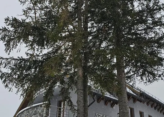 Szara Tuz Przy Wyciagu Na Szrenice